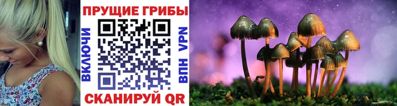 Купить закладки Емва Галлюциногенные грибы мухоморы